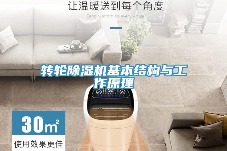 轉輪草莓视频污污污污基本結構與工作原理