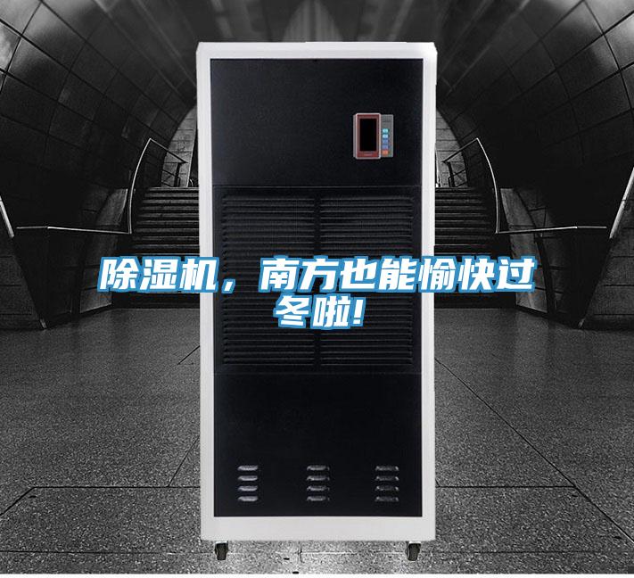 草莓视频污污污污，南方也能愉快過冬啦!