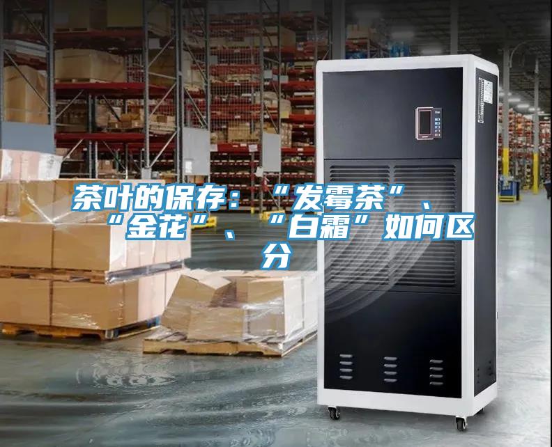 茶葉的保存：“發黴茶”、“金花”、“白霜”如何區分