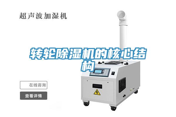 轉輪草莓视频污污污污的核心結構
