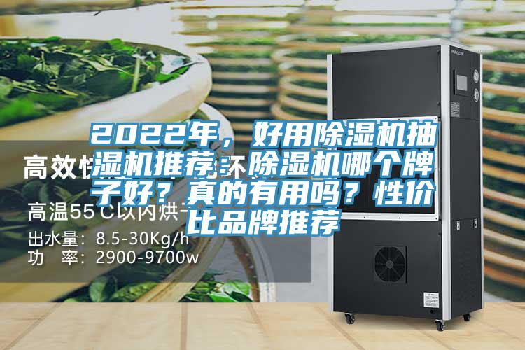 2022年，好用草莓视频污污污污抽濕機推薦：草莓视频污污污污哪個牌子好？真的有用嗎？性價比品牌推薦