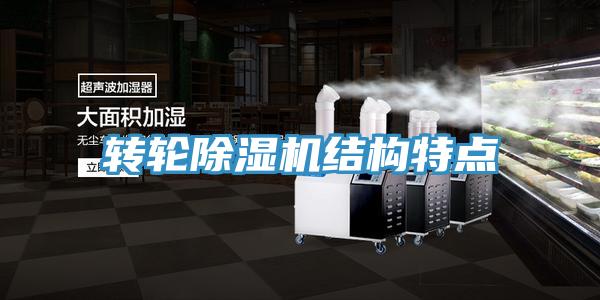 轉輪草莓视频污污污污結構特點