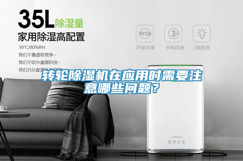 轉輪草莓视频污污污污在應用時需要注意哪些問題？