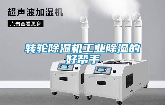 轉輪草莓视频污污污污工業除濕的好幫手