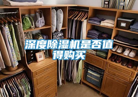 深度草莓视频污污污污是否值得購買