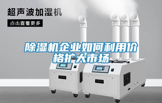 草莓视频污污污污企業如何利用價格擴大市場