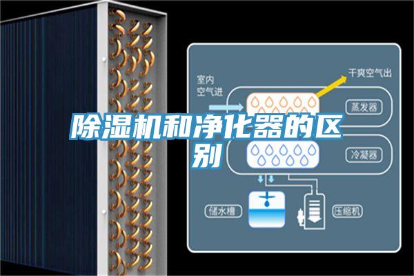 草莓视频污污污污和淨化器的區別