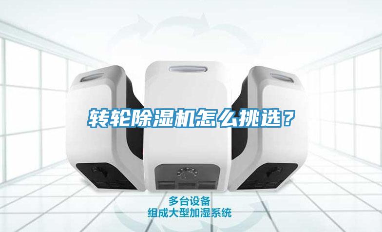 轉輪草莓视频污污污污怎麽挑選？