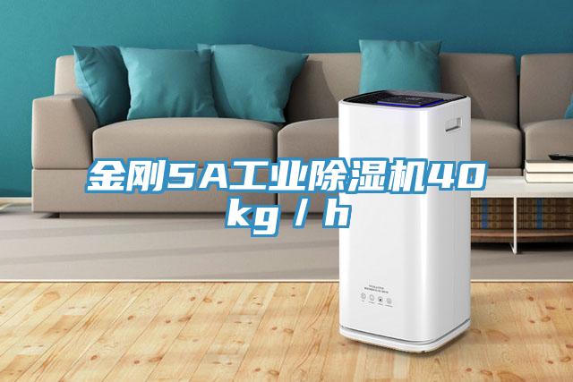 金剛5A工業草莓视频污污污污40kg／h