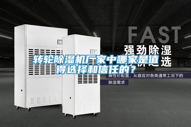 轉輪草莓视频污污污污廠家中哪家是值得選擇和信任的？