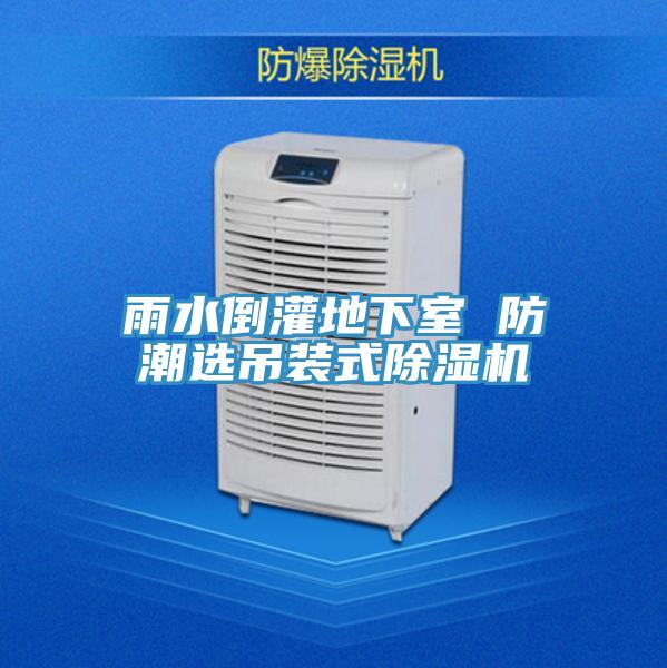 雨水倒灌地下室 防潮選吊裝式草莓视频污污污污