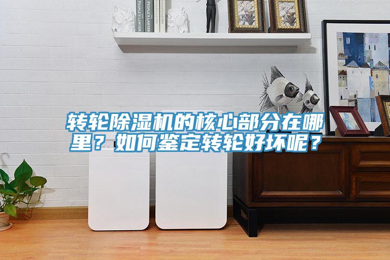 轉輪草莓视频污污污污的核心部分在哪裏？如何鑒定轉輪好壞呢？