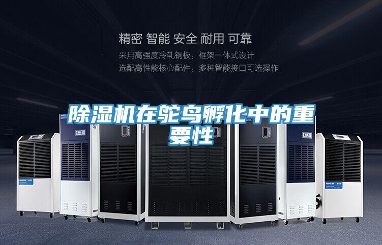 草莓视频污污污污在鴕鳥孵化中的重要性