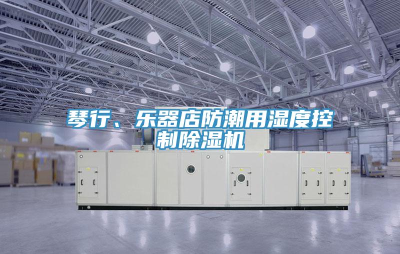 琴行、樂器店防潮用濕度控製草莓视频污污污污