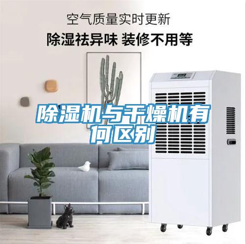 草莓视频污污污污與幹燥機有何區別