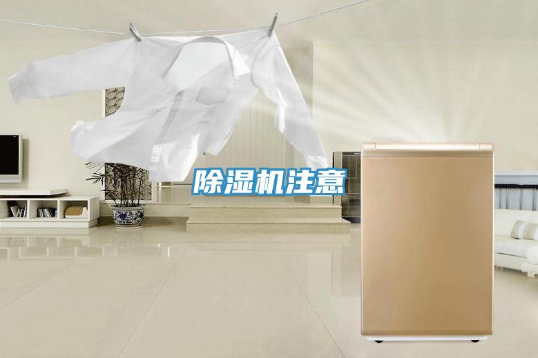 草莓视频污污污污注意
