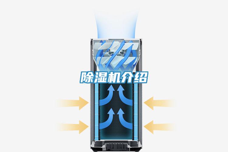 草莓视频污污污污介紹