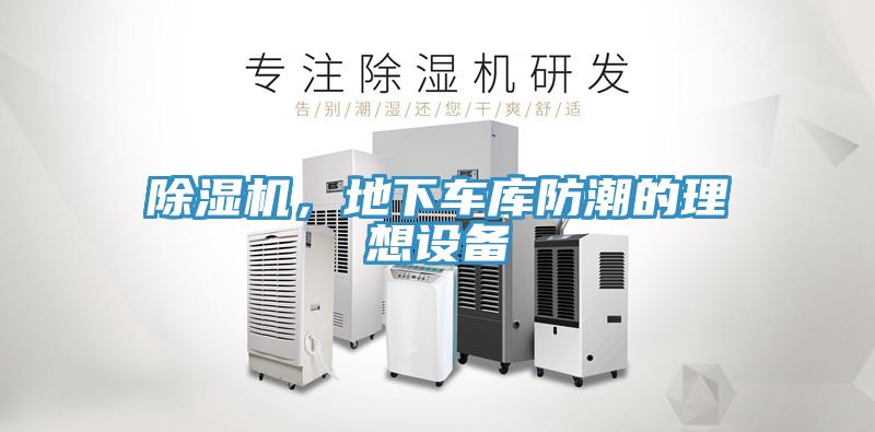草莓视频污污污污，地下車庫防潮的理想設備