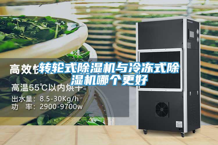 轉輪式草莓视频污污污污與冷凍式草莓视频污污污污哪個更好