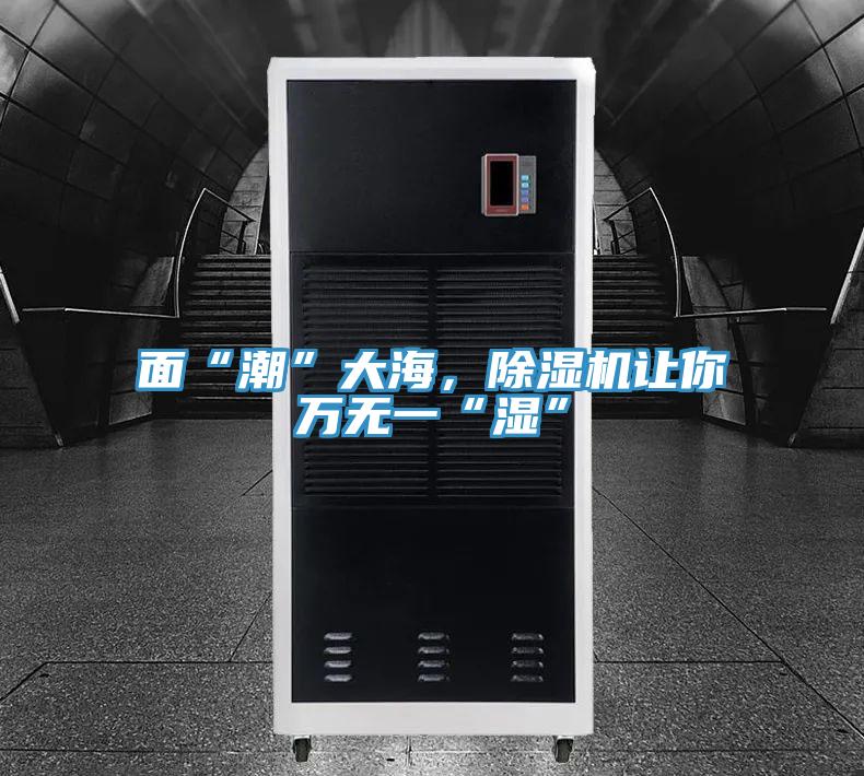 麵“潮”大海，草莓视频污污污污讓你萬無一“濕”