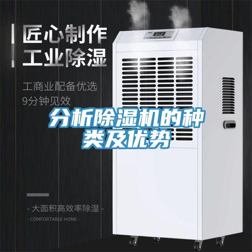 分析草莓视频污污污污的種類及優勢