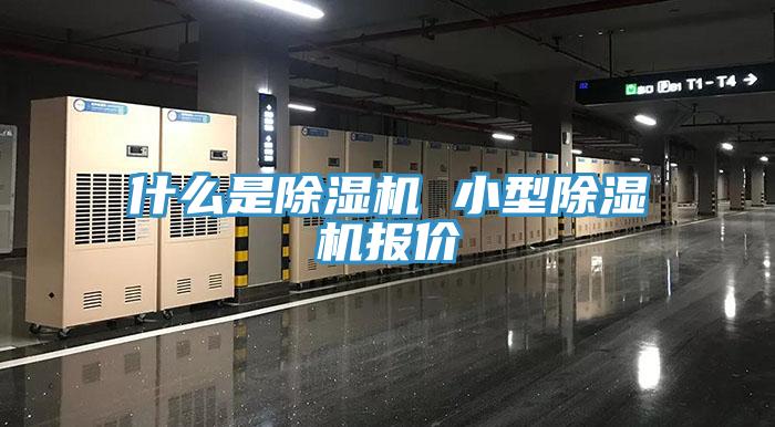 什麽是草莓视频污污污污 小型草莓视频污污污污報價