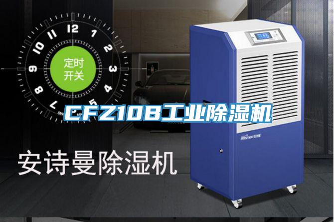 CFZ10B工業草莓视频污污污污
