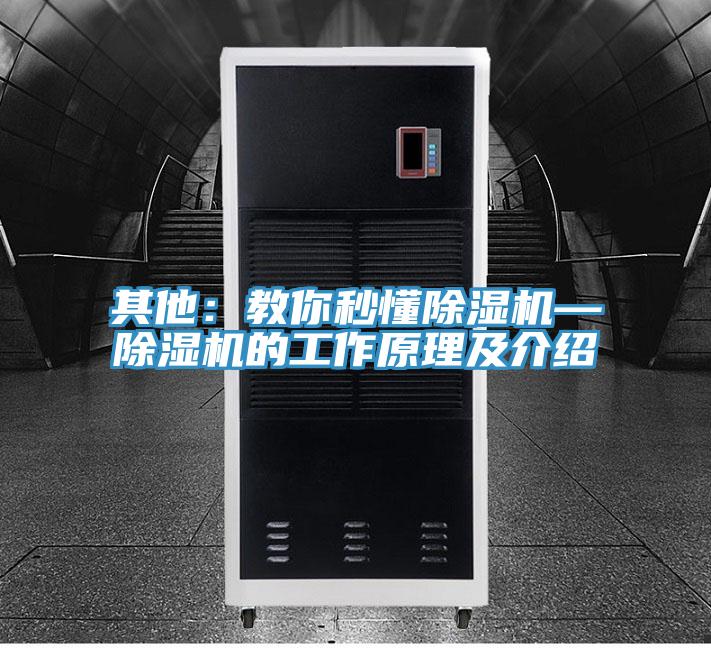 其他：教你秒懂草莓视频污污污污—草莓视频污污污污的工作原理及介紹