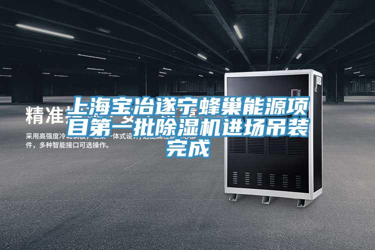 上海寶冶遂寧蜂巢能源項目第一批草莓视频污污污污進場吊裝完成