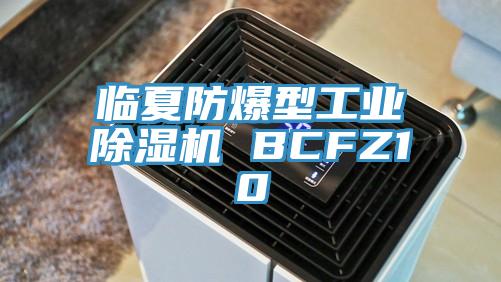 臨夏防爆型工業草莓视频污污污污 BCFZ10