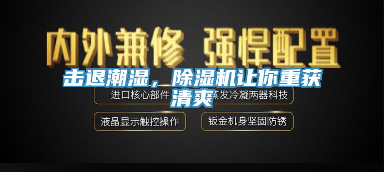 擊退潮濕，草莓视频污污污污讓你重獲清爽