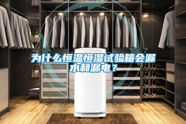 為什麽恒溫恒濕試驗箱會漏水和漏電？