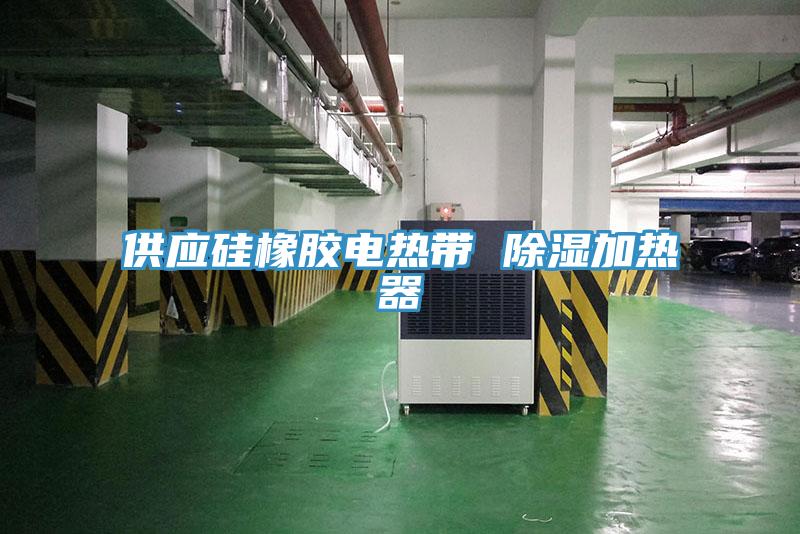 供應矽橡膠電熱帶 除濕加熱器