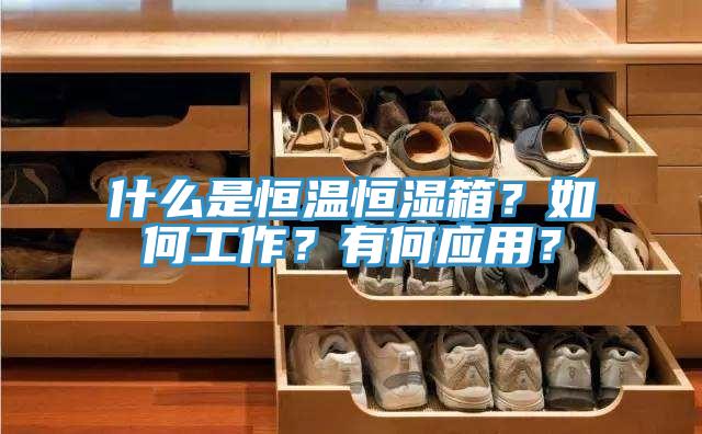 什麽是恒溫恒濕箱？如何工作？有何應用？