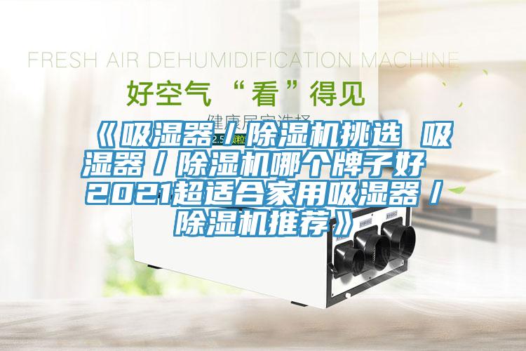 《吸濕器／草莓视频污污污污挑選 吸濕器／草莓视频污污污污哪個牌子好 2021超適合家用吸濕器／草莓视频污污污污推薦》
