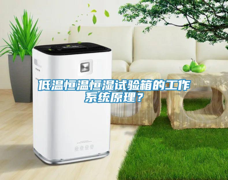 低溫恒溫恒濕試驗箱的工作係統原理？