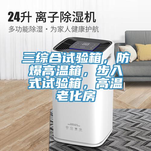 三綜合試驗箱，防爆高溫箱，步入式試驗箱，高溫老化房
