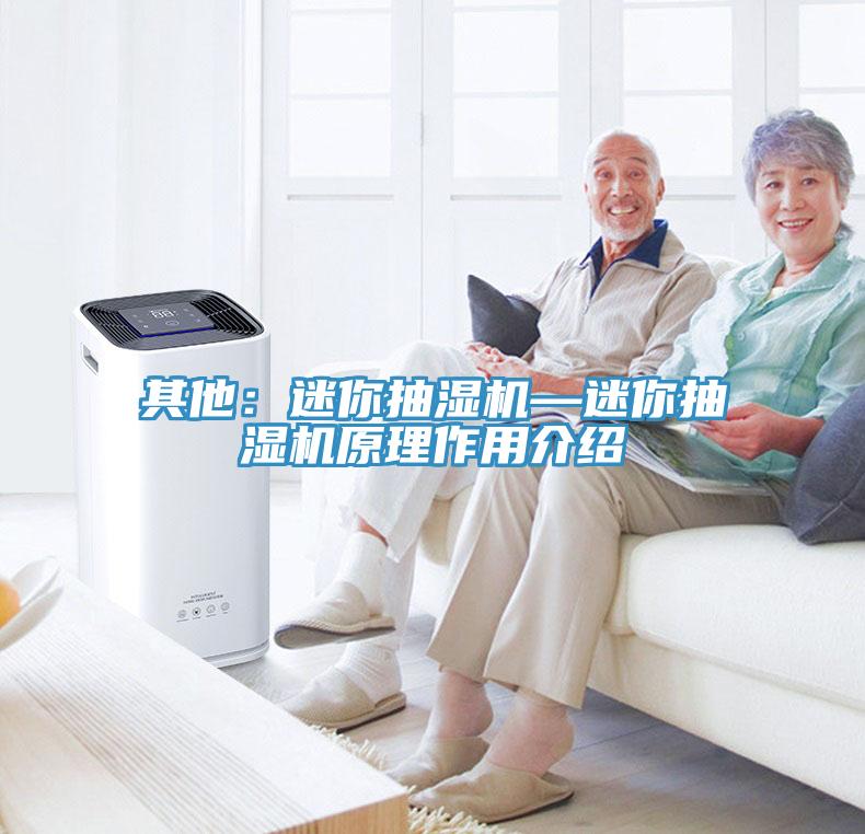 其他：迷你抽濕機—迷你抽濕機原理作用介紹