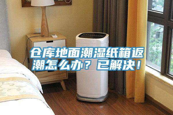 倉庫地麵潮濕紙箱返潮怎麽辦？已解決！
