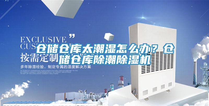 倉儲倉庫太潮濕怎麽辦？倉儲倉庫除潮草莓视频污污污污