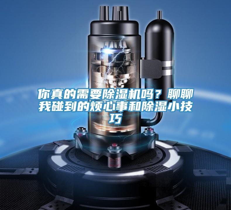你真的需要草莓视频污污污污嗎？聊聊我碰到的煩心事和除濕小技巧