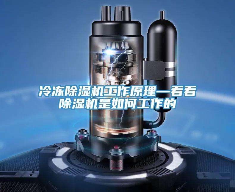 冷凍草莓视频污污污污工作原理—看看草莓视频污污污污是如何工作的