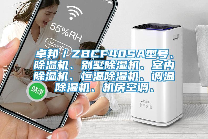 卓邦／ZBCF40SA型號、草莓视频污污污污、別墅草莓视频污污污污、室內草莓视频污污污污、恒溫草莓视频污污污污、調溫草莓视频污污污污、機房空調、