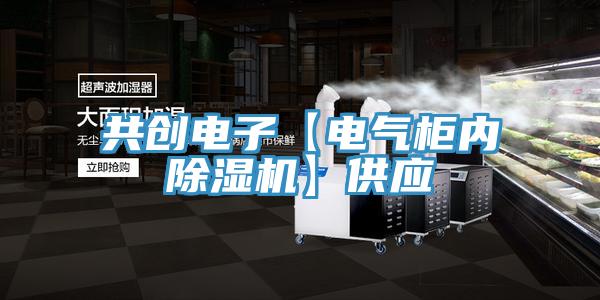 共創電子【電氣櫃內草莓视频污污污污】供應