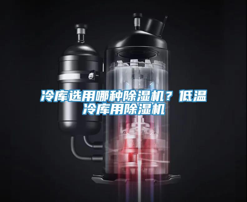 冷庫選用哪種草莓视频污污污污？低溫冷庫用草莓视频污污污污