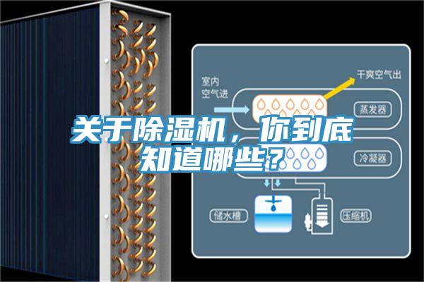 關於草莓视频污污污污，你到底知道哪些？