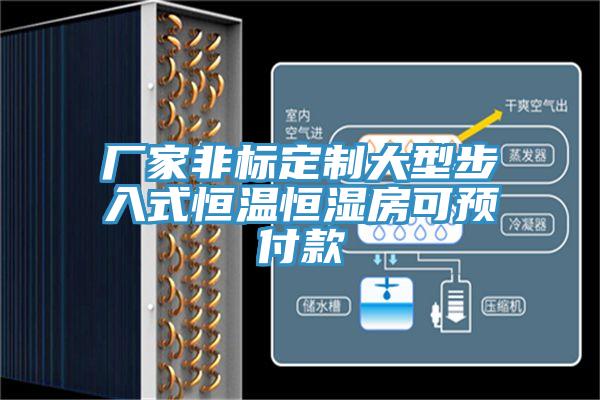 廠家非標定製大型步入式恒溫恒濕房可預付款