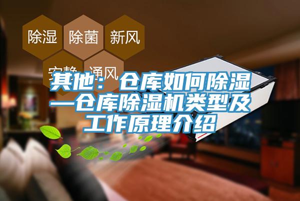 其他：倉庫如何除濕—倉庫草莓视频污污污污類型及工作原理介紹