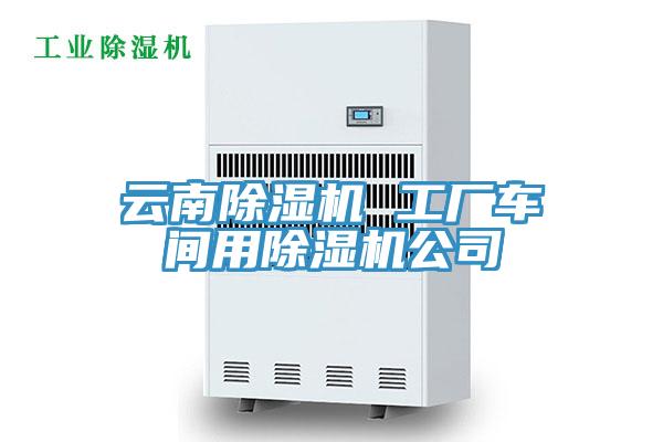 雲南草莓视频污污污污 工廠車間用草莓视频污污污污公司