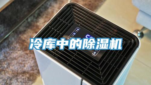 冷庫中的草莓视频污污污污
